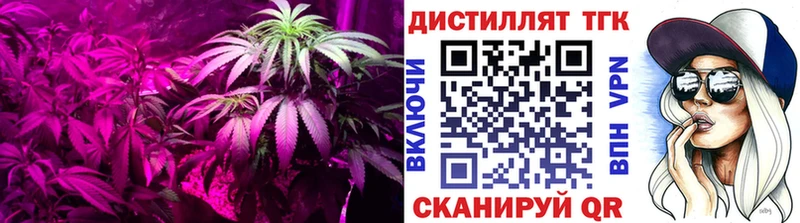 магазин    mega ССЫЛКА  ТГК вейп с тгк  Кириши 