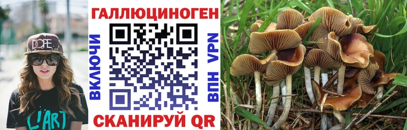 Галлюциногенные грибы Psilocybe  магазин    Кириши 